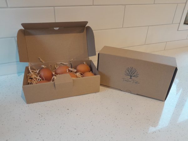 Truffle Infused eggs (half a dozen)
