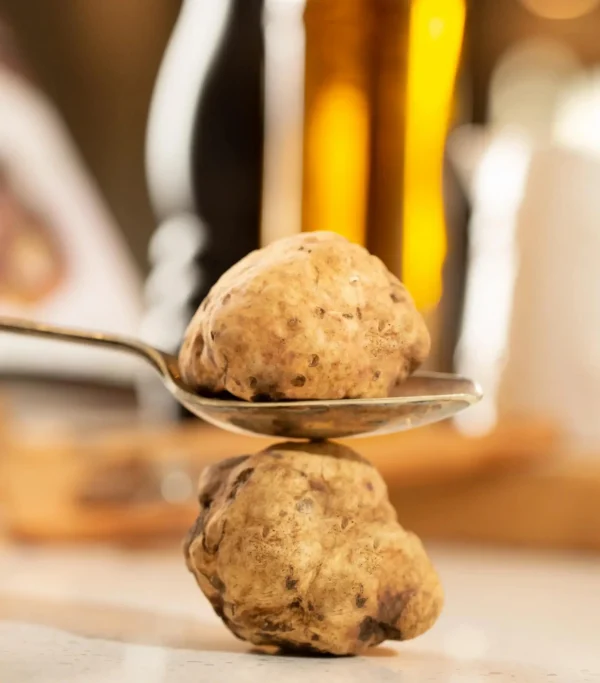 Tresillian Truffles